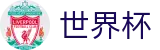 FIFA世界杯足彩中国官方投注官网 | 世界杯波胆官方入口 · 买球新手教程